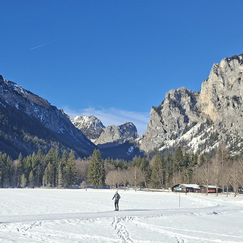 A skier glides across a snowy field under a clear blue sky, with majestic mountains and trees in the background.