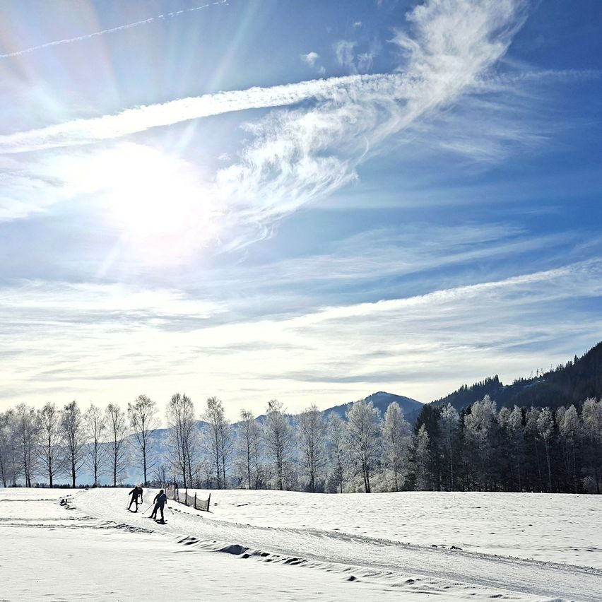 Two people are skiing on a snowy field with a clear blue sky, mountains, and trees in the distance.
