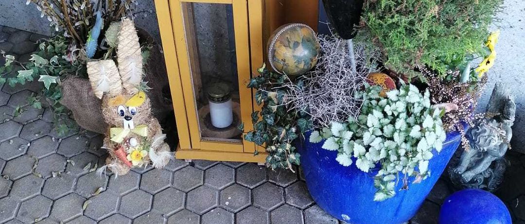 Bild enthält, Plant, Potted Plant, Jar, Planter, Pottery, Windowsill, Mortar Shell, Outdoors, Flower