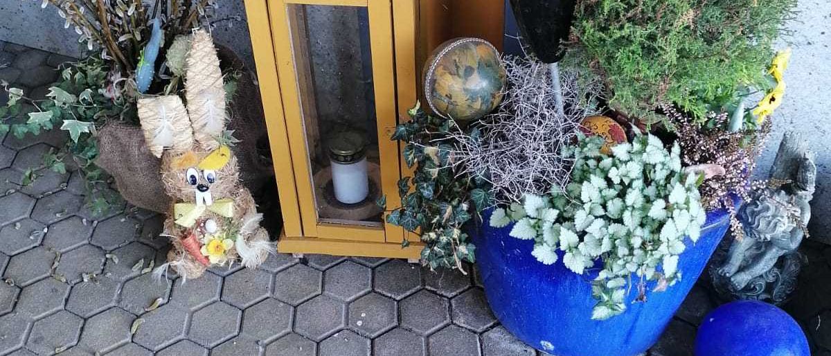 Bild enthält, Plant, Potted Plant, Jar, Planter, Pottery, Windowsill, Mortar Shell, Outdoors, Flower
