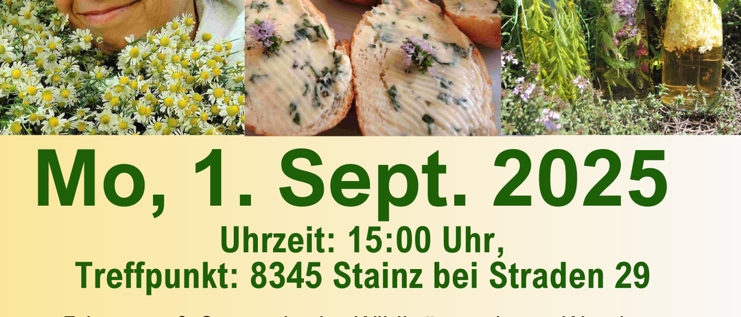 Plakat für eine Veranstaltung mit Doris Maier, einer Kräuterpädagogin, am 1. September 2025. Die Veranstaltung umfasst Wildkräuterbestimmung, eine kurze Wanderung und die kulinarische Zubereitung von Wildkräutern. Der Treffpunkt ist Stainz, Straden 29, um 15:00 Uhr. Die Kosten betragen 20 Euro pro Person, 5 Euro für Kinder bis 10 Jahre.