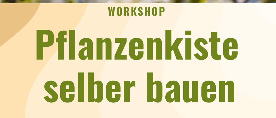 Workshop zum Bau von Pflanzenkisten am 15. April 2026 von 18:00 bis 19:30 Uhr in der Kompostieranlage Raabau. Präsentiert von Josef Fink und Johann Tummer. Wassersparende Pflanzenbeete mit Materialtipps und Pflanzenauswahl. QR-Code für weitere Informationen.