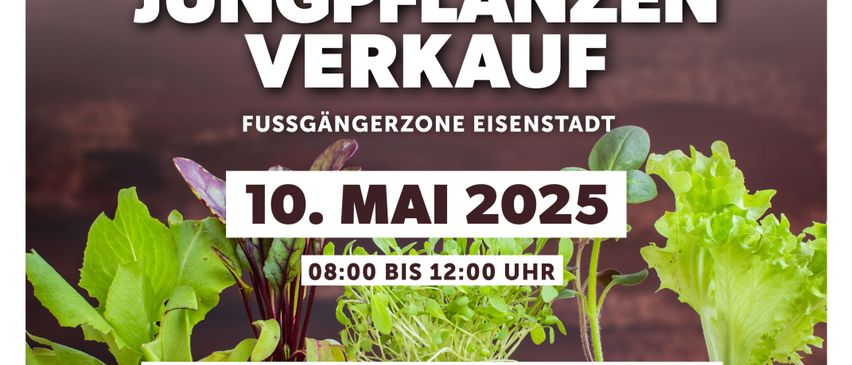Plakat für einen Jungpflanzenverkauf in Eisenstadt am 10. Mai 2025 von 08:00 bis 12:00 Uhr.