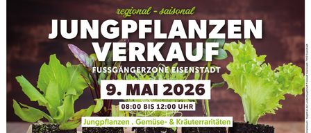Verkauf junger Pflanzen in der Fussgängerzone Eisenstadt am 9. Mai 2026 von 08:00 bis 12:00 Uhr. Beinhaltet Gemüse- und Kräutersorten.