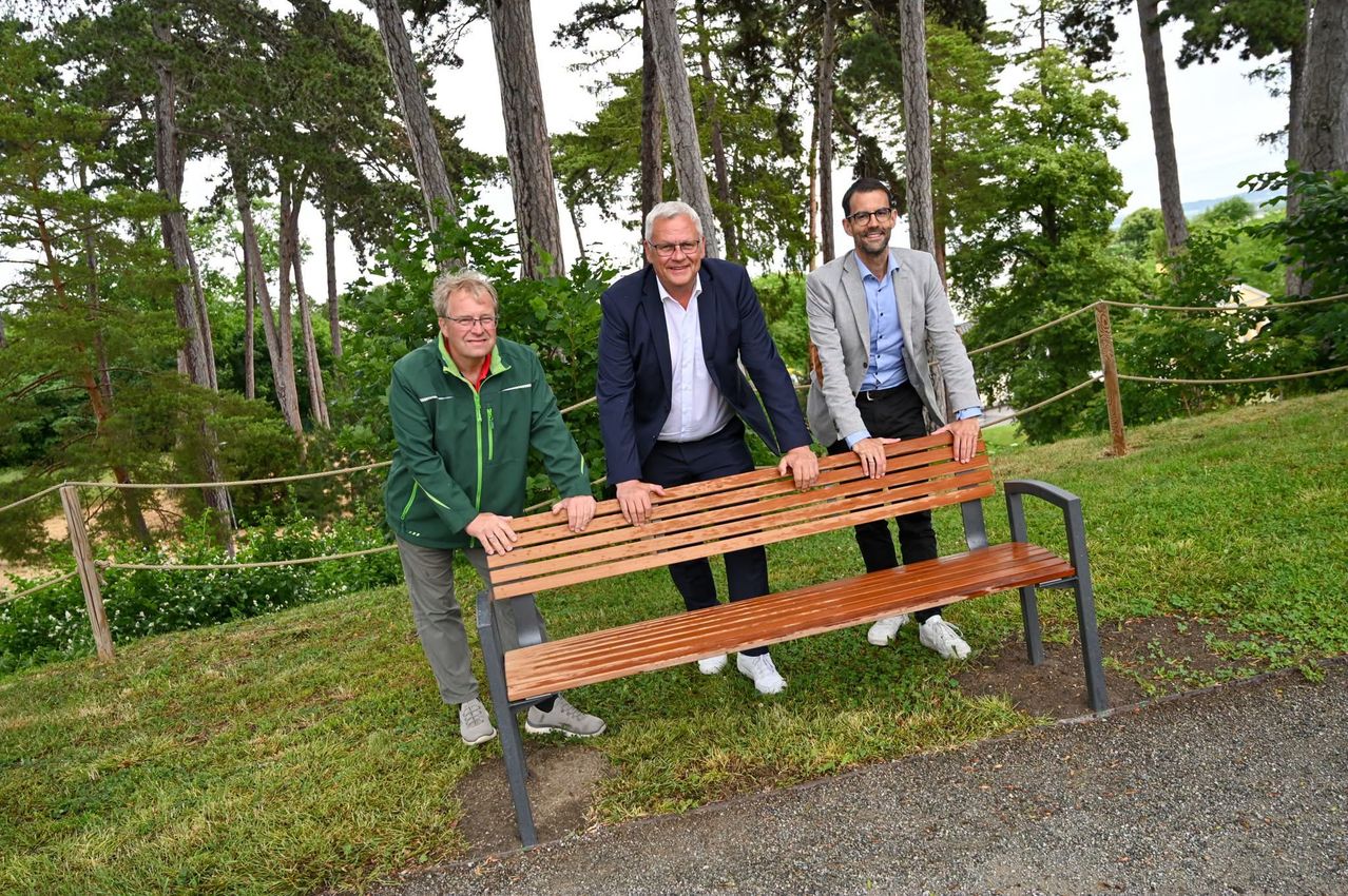 Drei Männer in Geschäftskleidung posieren neben einer Holzbank in einem Park mit Waldhintergrund.