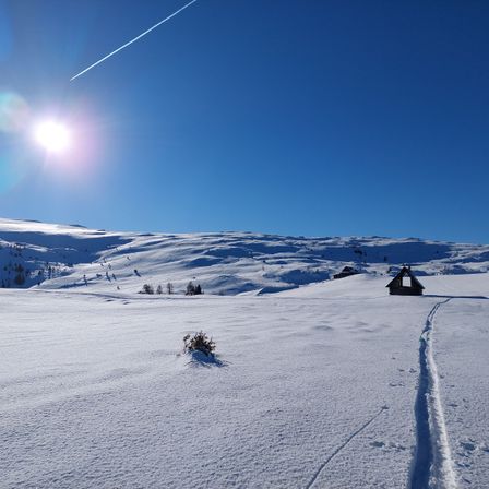 Ein klarer Wintertag mit der Sonne, die hell über einer verschneiten Landschaft scheint. Der Schnee bedeckt den Boden und die Berge, und ein Pfad führt zu einer kleinen Holzhütte.