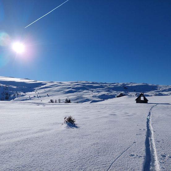 Ein klarer Wintertag mit der Sonne, die hell über einer verschneiten Landschaft scheint. Der Schnee bedeckt den Boden und die Berge, und ein Pfad führt zu einer kleinen Holzhütte.