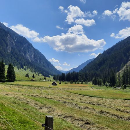 Ein breites Tal mit üppigen grünen Feldern, umgeben von hohen Bäumen und Bergen, unter einem blauen Himmel mit Wolken.