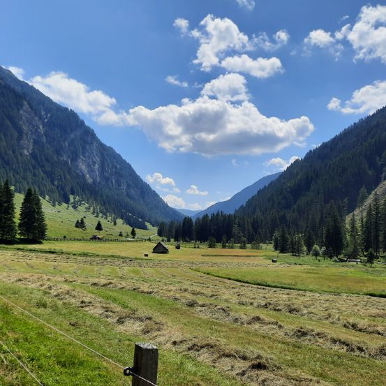 Ein breites Tal mit üppigen grünen Feldern, umgeben von hohen Bäumen und Bergen, unter einem blauen Himmel mit Wolken.