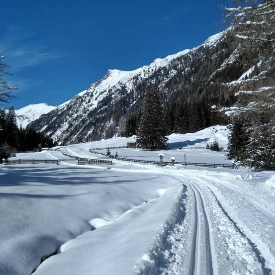 Eine verschneite Berglandschaft mit Kiefern und einer gewundenen Straße, mit einem Gebäude in der Ferne.