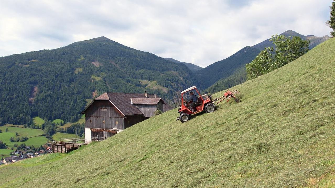 Ein roter Traktor mäht einen Grashügel neben einem Holzhaus mit Schornstein und umgeben von Bäumen. Der Traktor befindet sich auf einer Steigung, und es gibt Berge im Hintergrund.