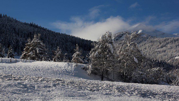 Eine verschneite Landschaft zeigt einen Berg mit Bäumen und schneebedecktem Boden. Der Himmel ist blau mit einigen Wolken.