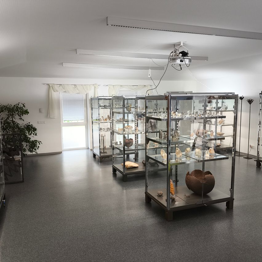 Ein leerer Raum mit mehreren Glasschränken, die verschiedene Artefakte ausstellen, einer Pflanze in der Ecke und einem Projektor, der von der Decke hängt.