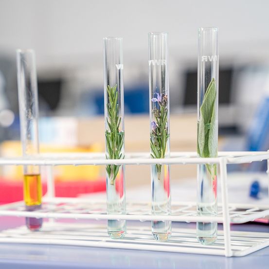 Bild enthält, Test Tube