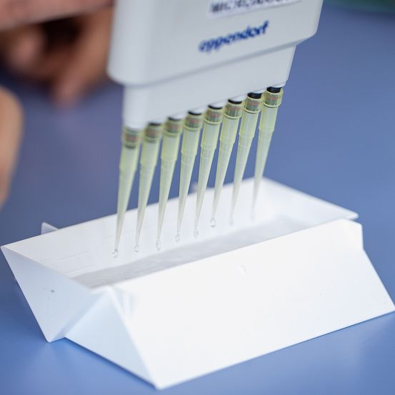 Bild enthält, Cutlery, Person