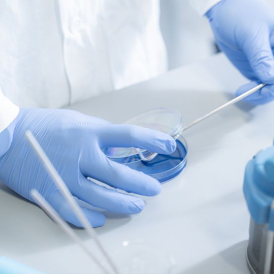 Bild enthält, Clothing, Glove, Pen, Laboratory, Person