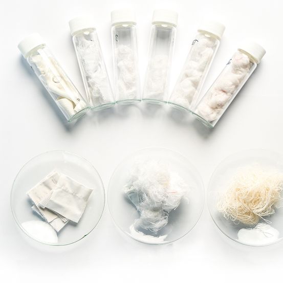 Bild enthält, Plate, Food, Noodle