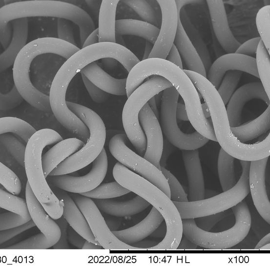 Bild enthält, Food, Noodle, Pasta, Spaghetti