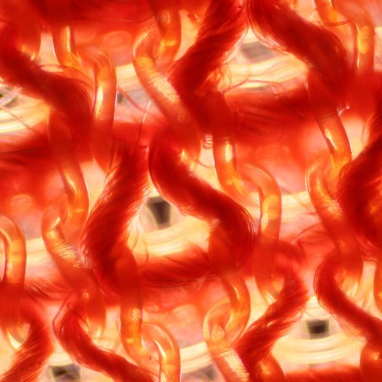 Bild enthält, Pattern, Fire, Flame, Person, Accessories, Fractal, Ornament, Animal, Sea Life