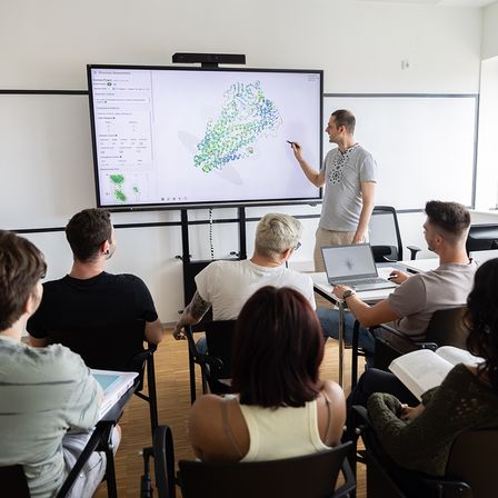 Bild enthält, Adult, Female, Person, Woman, Male, Man, Monitor, Student, Face, Head