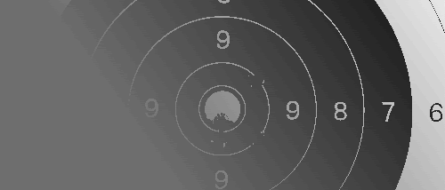 Ein grauskaliertes Zielbild mit konzentrischen Kreisen, nummeriert von 6 bis 9. Im Zentrum befindet sich das Bullauge, gekennzeichnet mit 9, umgeben von aufsteigenden Zahlen.