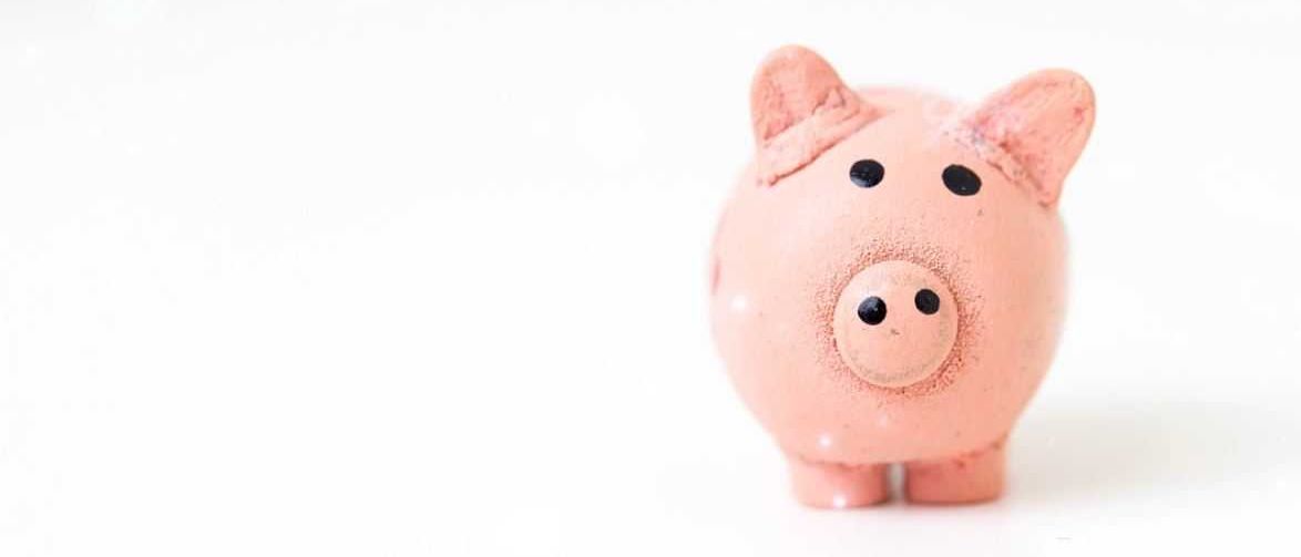 Bild enthält, Piggy Bank, Animal, Mammal, Pig