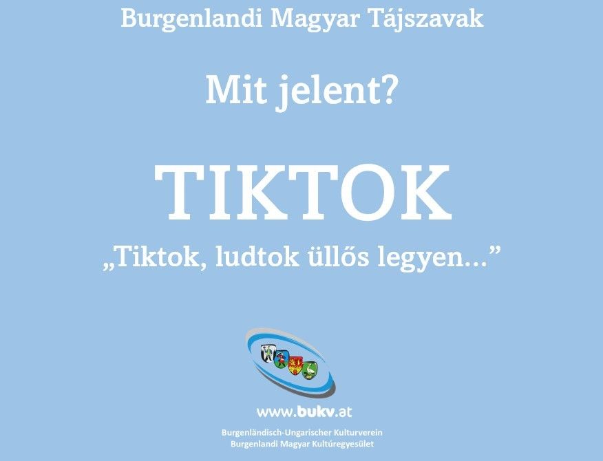 Ein blaues Poster zeigt den Text 'Burgenlandi Magyar Tajszavak' und 'Mit jelent?' über einem fetten 'TIKTOK'. Darunter steht 'Tiktok, ludtok ullos legyen...' mit einem Logo. Die Website www.bukv.at ist ebenfalls angezeigt.