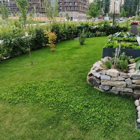 Bild enthält, Grass, Plant, Backyard, Nature, Outdoors, Yard, Garden, Lawn, Car, Vehicle