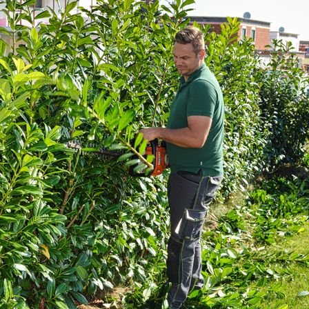 Bild enthält, Garden, Nature, Outdoors, Gardening, Gardener, Person, Adult, Male, Man, Shoe