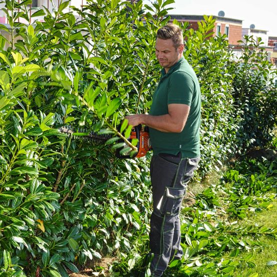 Bild enthält, Garden, Nature, Outdoors, Gardening, Gardener, Person, Adult, Male, Man, Shoe