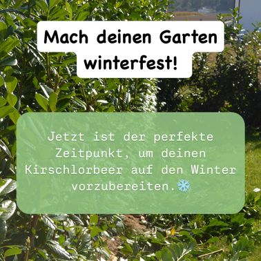 Bild enthält, Herbal, Herbs, Vegetation, Garden, Nature, Outdoors, Leaf, Advertisement, Gardening, Agriculture