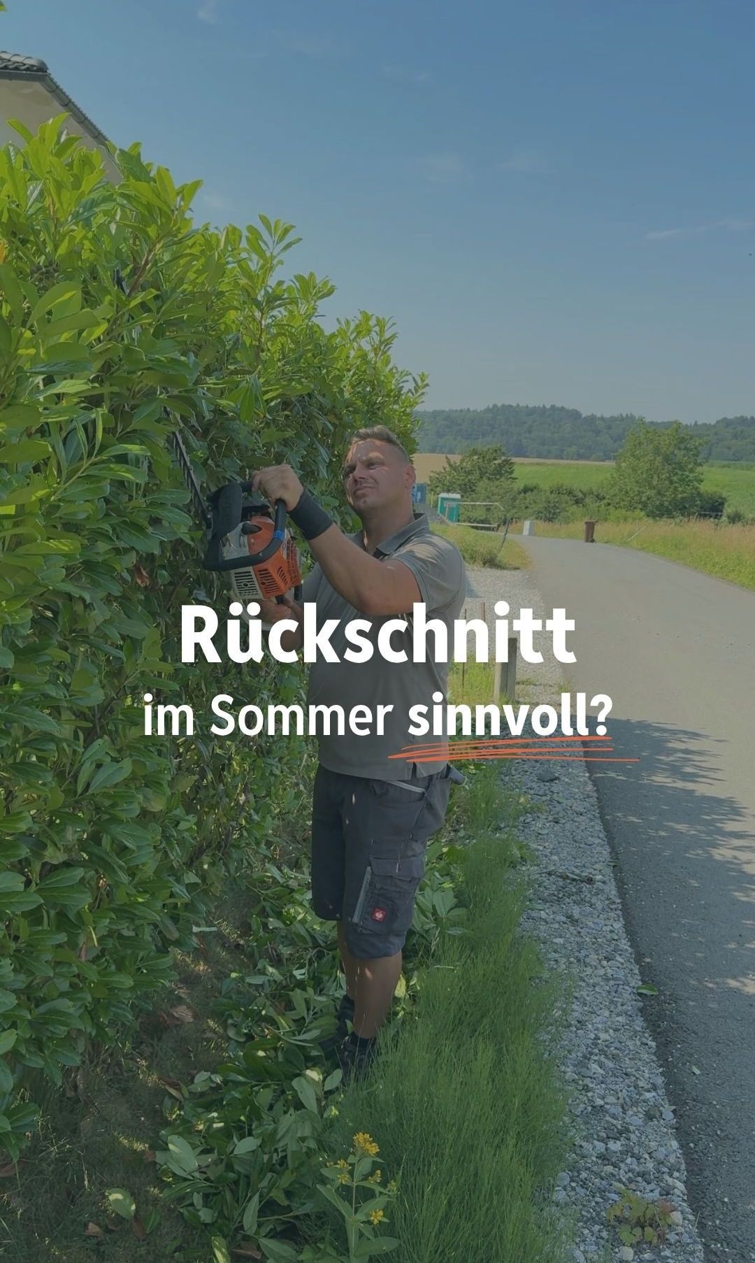 Ein Mann benutzt eine Kettensäge, um einen Heckenschnitt an der Straßenseite durchzuführen, mit einer ländlichen Landschaft im Hintergrund. Der Textüberlagerung lautet 'Ruckschnitt im Sommer sinnvoll?' in Deutsch.