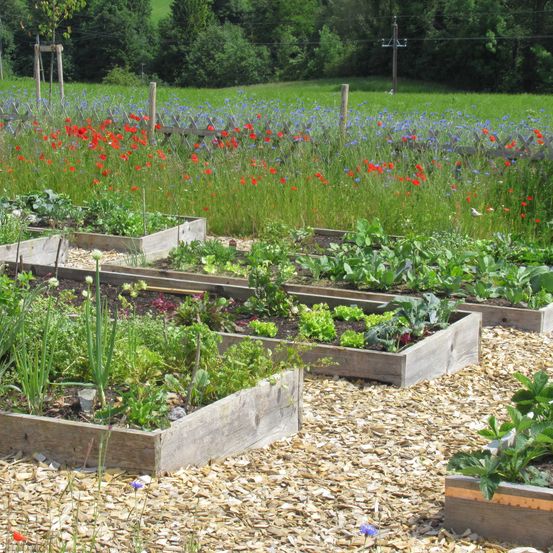 Bild enthält, Garden, Nature, Outdoors, Potted Plant, Jar, Planter, Pottery, Herbs, Herbal, Soil