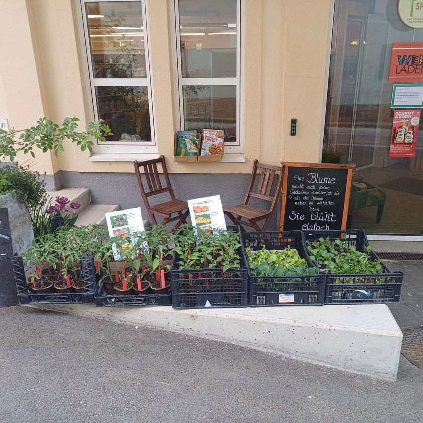 Bild enthält, Jar, Planter, Potted Plant, Pottery, Vase, Herbal, Chair, Nature, Outdoors, Blackboard