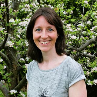 Bild von Beatrix Waltner, BEd, BSc, MSc