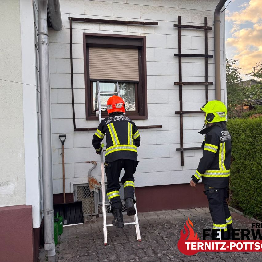 Zwei Feuerwehrleute in voller Ausrüstung, einer klettert auf eine Leiter zu einem Fenster, während der andere in der Nähe steht.