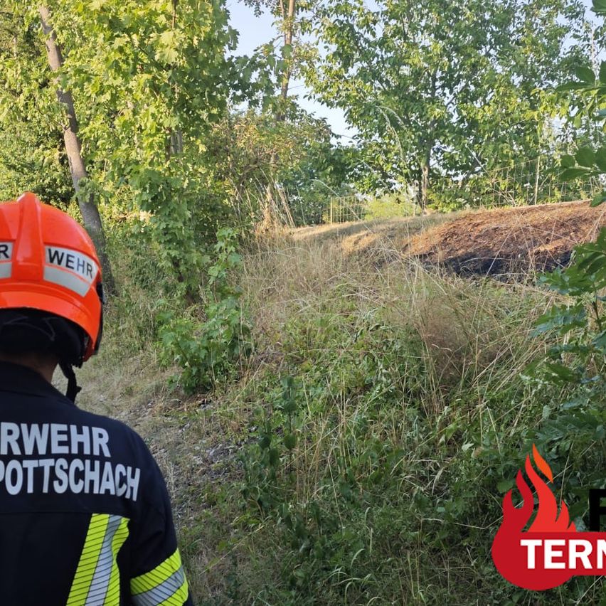 Ein Feuerwehrmann in einem roten Helm und einer schwarzen Uniform mit dem Wort Wehr darauf steht in einem Feld mit hohem Gras und Bäumen. Rechts ist ein Feuerlogo.