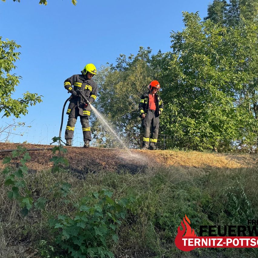 Zwei Feuerwehrleute in Schutzkleidung sprühen Wasser auf einen Grashügel mit Bäumen im Hintergrund. Die Szene scheint ein kontrollierter Brand oder eine Brandbekämpfung zu sein.