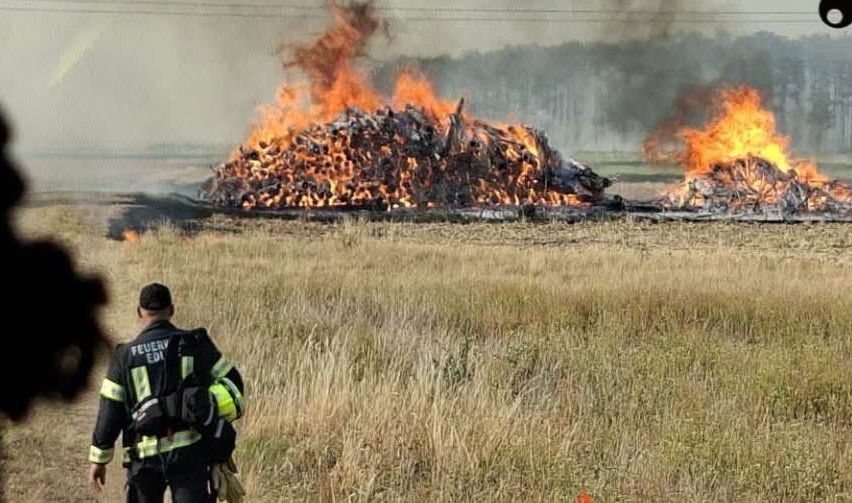 A firefighter walks towards a large burning pile of wood in a field.