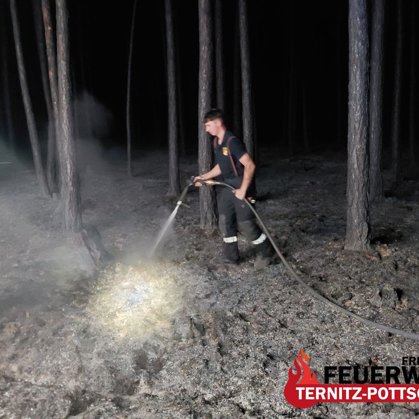 A firefighter in a forest is spraying water from a hose to extinguish a fire. The scene is dark with smoke rising from the ground.