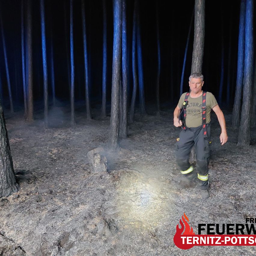 A firefighter wearing a green shirt and harness walks through a dark, smoky forest with charred trees.
