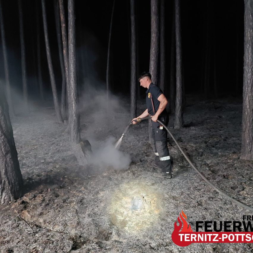 A firefighter in a dark forest is using a hose to extinguish a smoldering fire. The area is surrounded by tall trees and smoke.