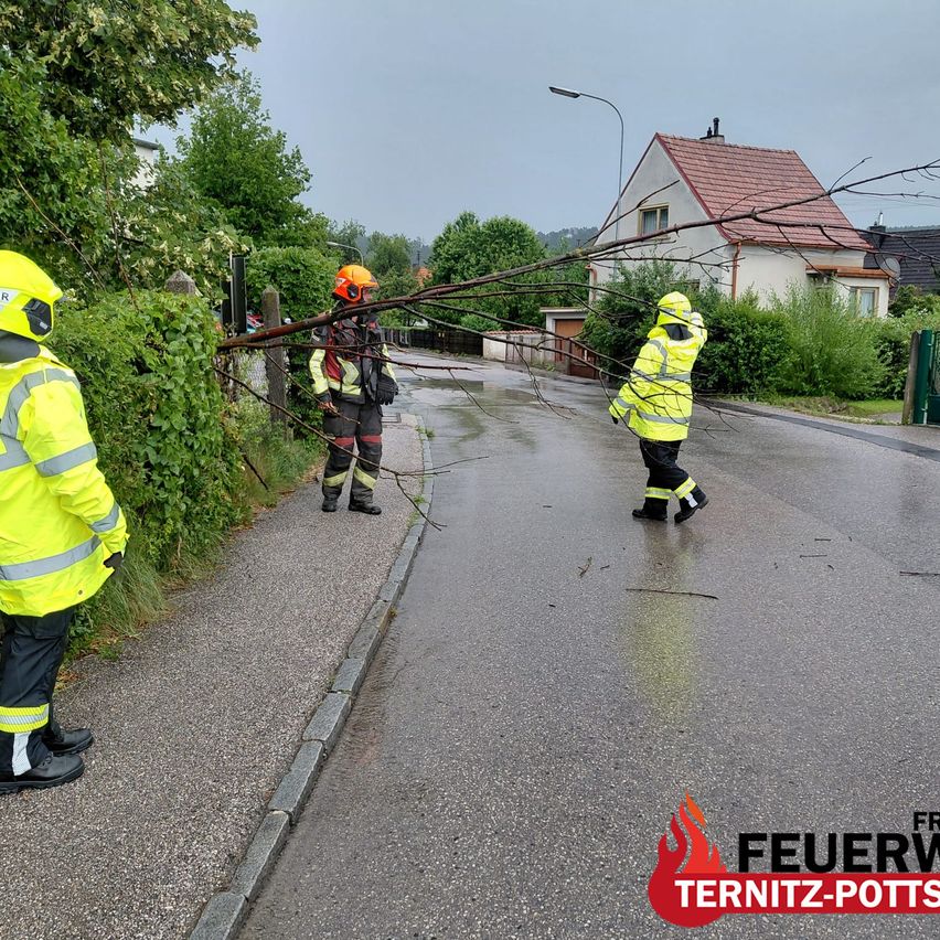 Drei Feuerwehrleute in leuchtend gelben Uniformen räumen Äste von einer Straße. Ein Haus mit rotem Dach ist im Hintergrund.