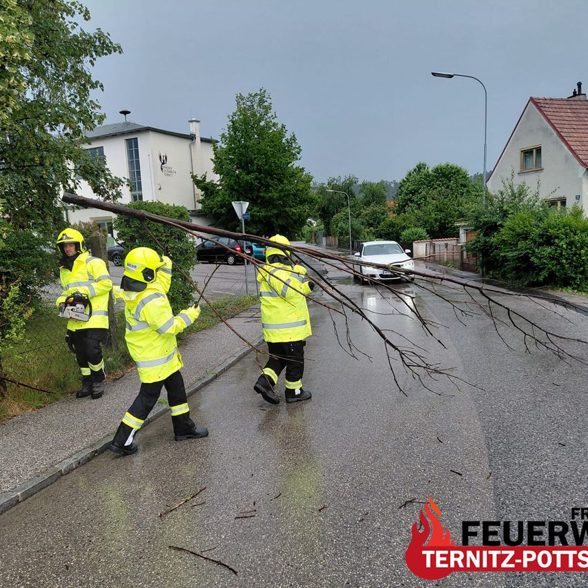 Feuerwehrleute in leuchtend gelben Schutzanzügen entfernen einen großen Ast von einer nassen Straße. In der Nähe befinden sich ein weißes Auto, Häuser und Straßenlaternen.