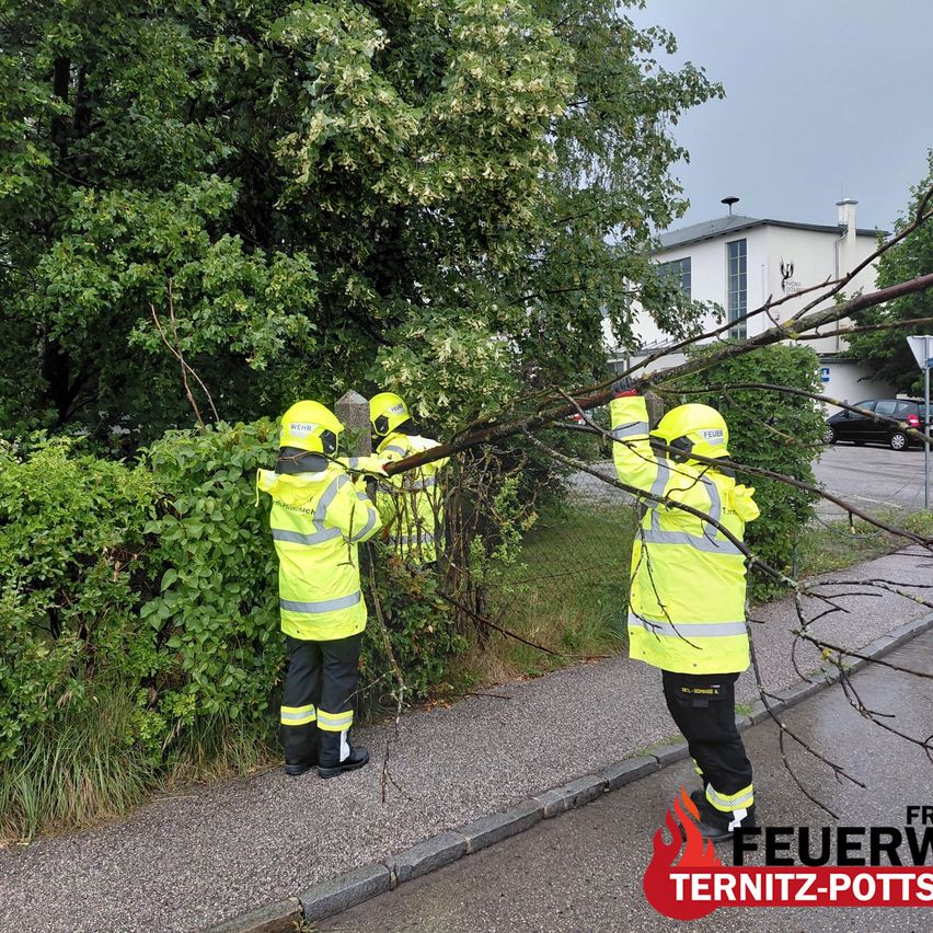Drei Feuerwehrleute in leuchtend gelben Anzügen entfernen Äste von einem Baum auf dem Bürgersteig. Hinter ihnen steht ein Gebäude mit einem Schornstein, und ein Auto ist in der Nähe geparkt.