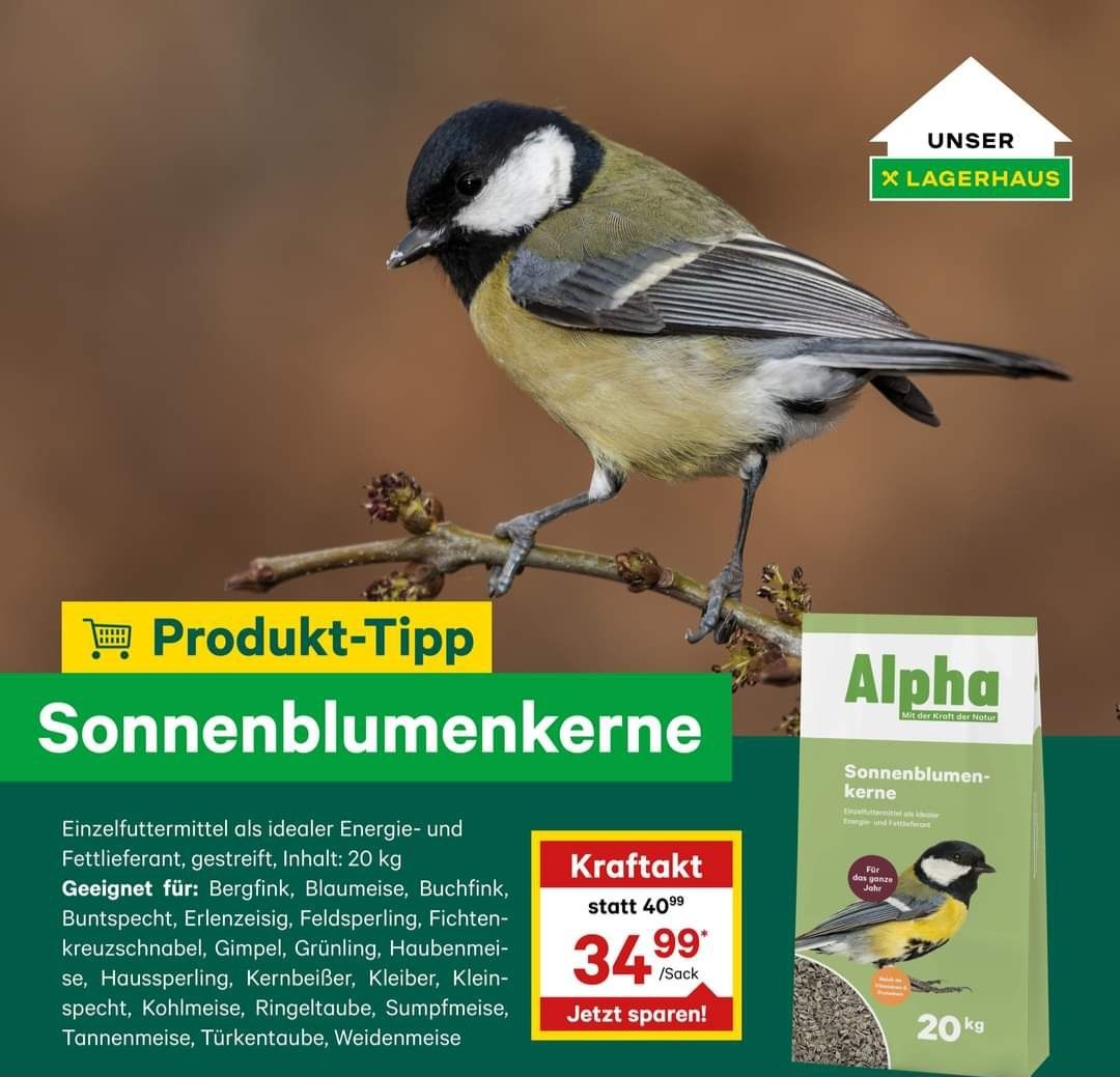 Bild enthält, Advertisement, Poster, Animal, Bird, Finch
