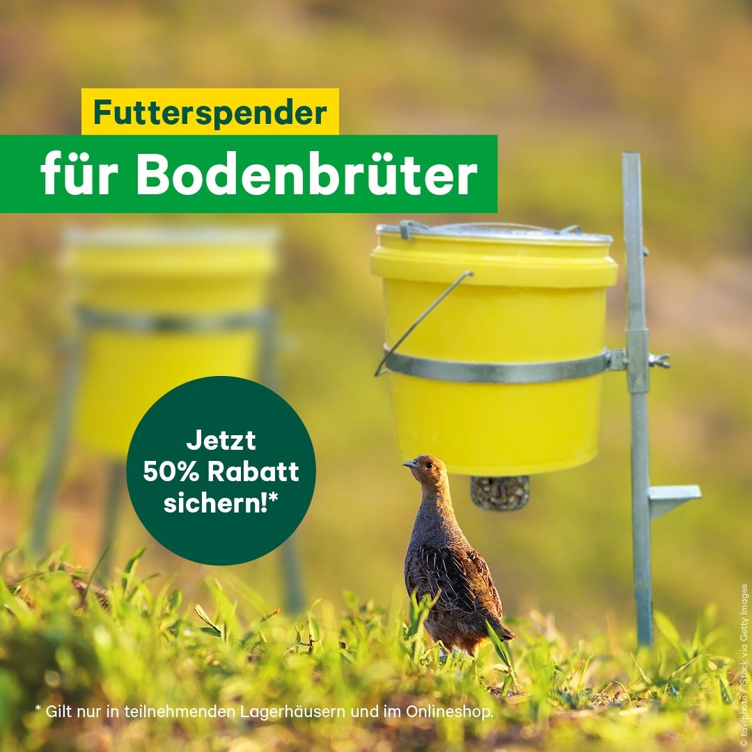 Werbung für einen Vogelfutterspender für bodenbrütende Vögel. Ein Vogel steht neben einem gelben Futterspender. Die Werbung bietet 50% Rabatt. Gültig in teilnehmenden Lagerhäusern und online.