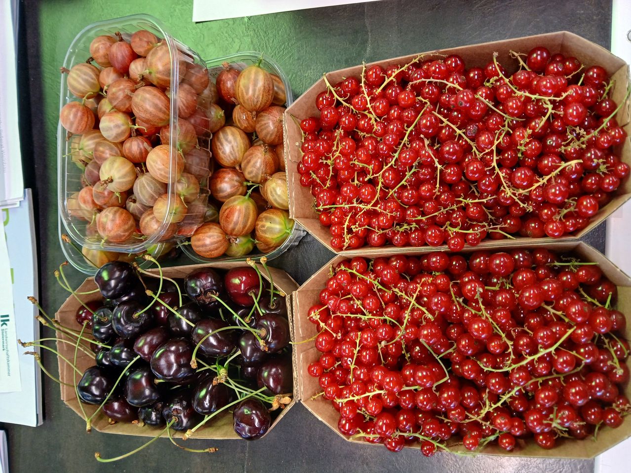 Vier Kisten mit Beeren stehen auf einem Tisch. Zwei durchsichtige Plastikkisten enthalten rote und braune Stachelbeeren. Zwei braune Kisten enthalten Büschel schwarze Kirschen und rote Johannisbeeren.