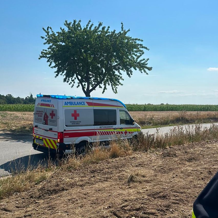 Ein Krankenwagen steht am Straßenrand eines ländlichen Weges mit einem Baum und einem Maisfeld im Hintergrund.