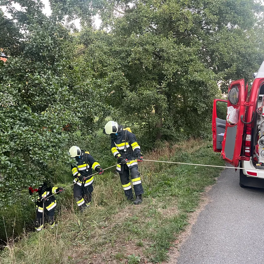 Drei Feuerwehrleute in Schutzkleidung ziehen ein Seil aus einem Busch in der Nähe einer Straße. Ein roter Feuerwehrwagen ist in der Nähe geparkt.